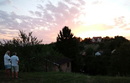 Sonnenuntergang im Weinberg